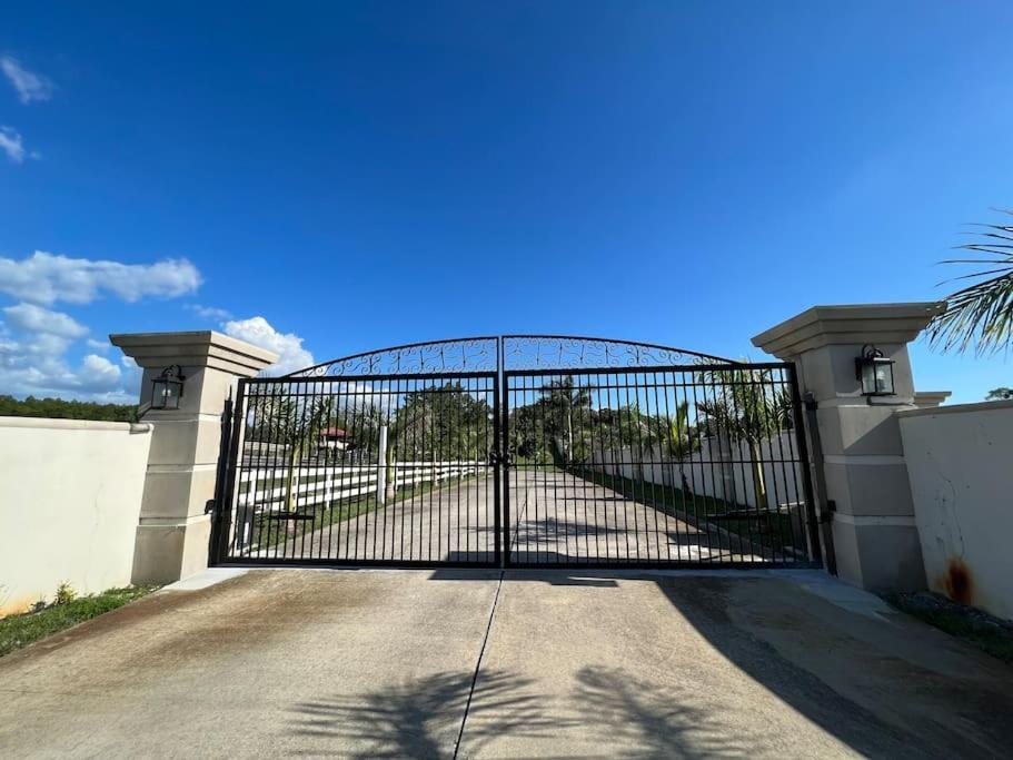 Tampa Bay Oasis Apartment Tarpon Springs Exterior photo
