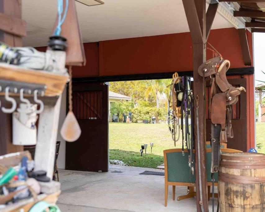 Tampa Bay Oasis Apartment Tarpon Springs Exterior photo