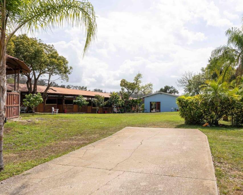 Tampa Bay Oasis Apartment Tarpon Springs Exterior photo